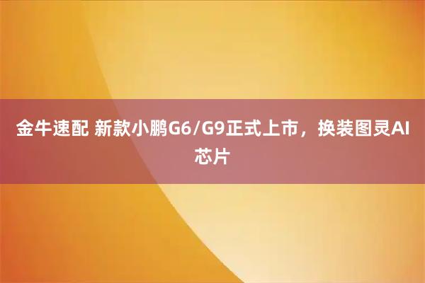 金牛速配 新款小鹏G6/G9正式上市,换装图灵AI芯片